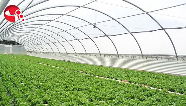 Projeler desteklenecek!..