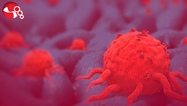 “En önemli halk sağlığı sorunu KANSER…”