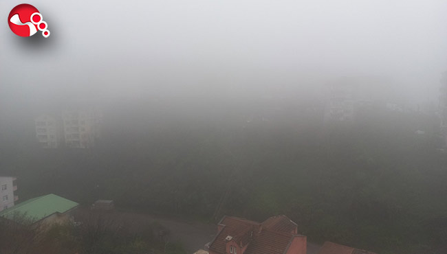 Göz gözü görmüyor!