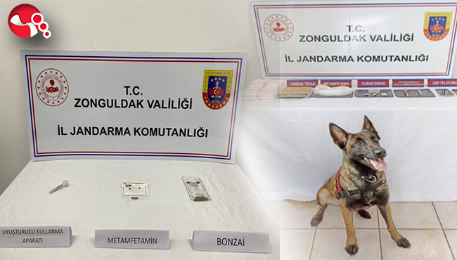 Alaplı ve Çaycuma’da operasyon…