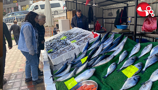 Av yaAv yasağı öncesinde balık fiyatları...sağı öncesinde tezgahlara yoğun ilgi