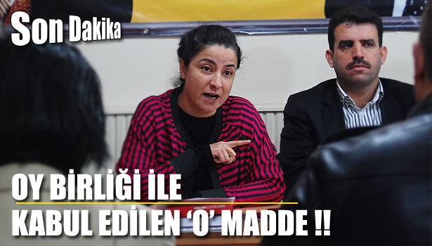 AKP'Lİ ÜYELERDEN 'MECLİS' AÇIKLAMALARI