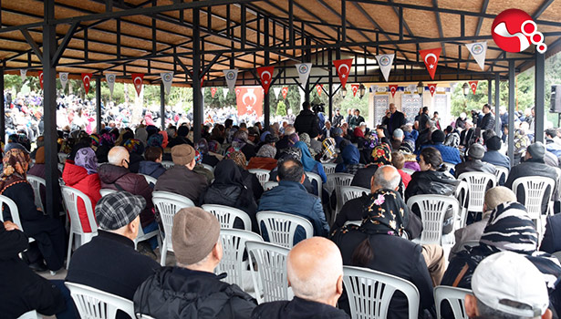 Mezarlıklar doldu,taştı...