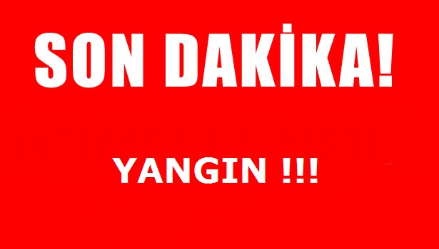 ALAPLI'DA İŞYERİNDE ÇIKAN YANGIN KORKUTTU