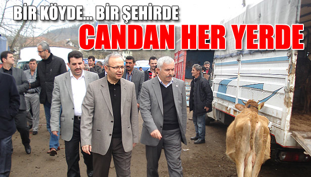 GEZDİ... DİNLEDİ... GÖRDÜ...