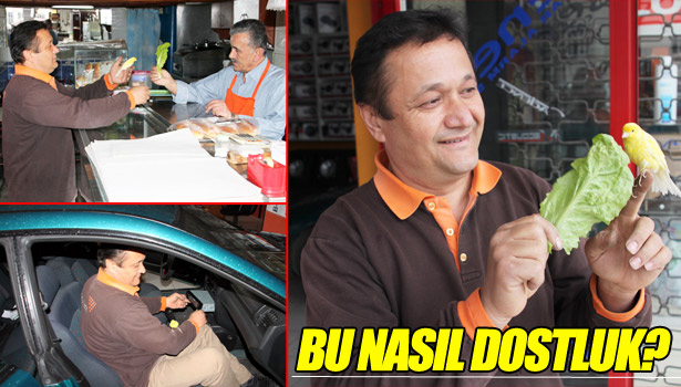 5 YILDIR OMUZ OMUZALAR