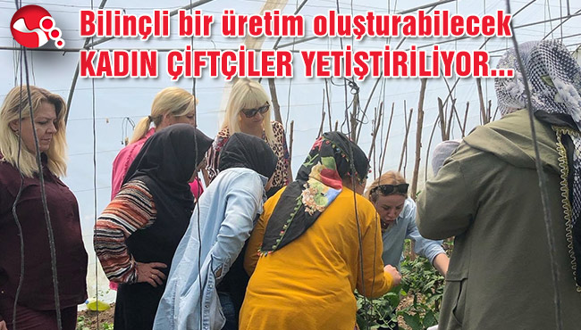 "SERACI BELGESİ" ALACAKLAR…