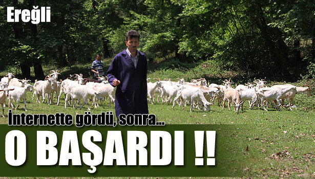 ARAŞTIRDI... ÖĞRENDİ... KURDU...