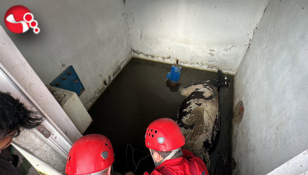 Kurtarmak için ellerinden geleni yaptılar