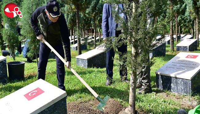 Vali Tutulmaz çalışmaları yerinde inceledi