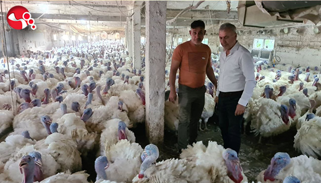 Hobi olarak başlamıştı, şimdiyse...