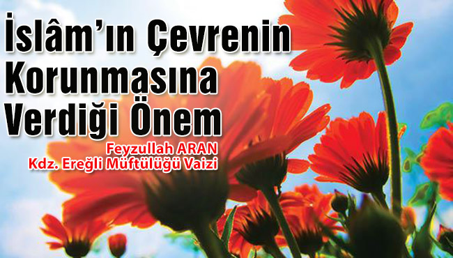 İslâm’ın Çevrenin Korunmasına Verdiği Önem