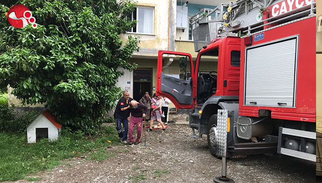 Biri bebek tam 7 kişiyi kurtarırdılar