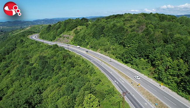 Kayın, meşe, gürgen, kestane, çınar, ıhlamur, kızılağaç…