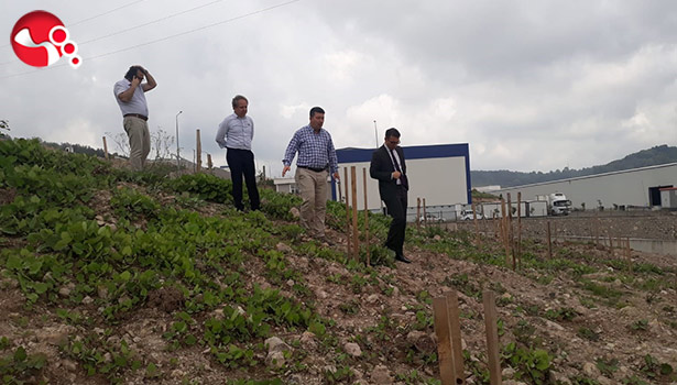 Meyve Bahçesinde uygulamalı eğitim