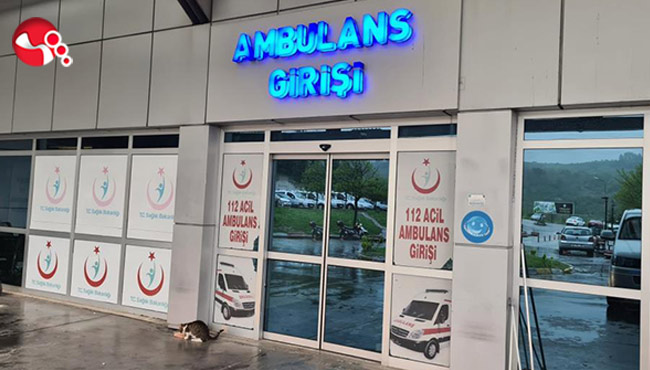 Dengesini kaybedince düştü