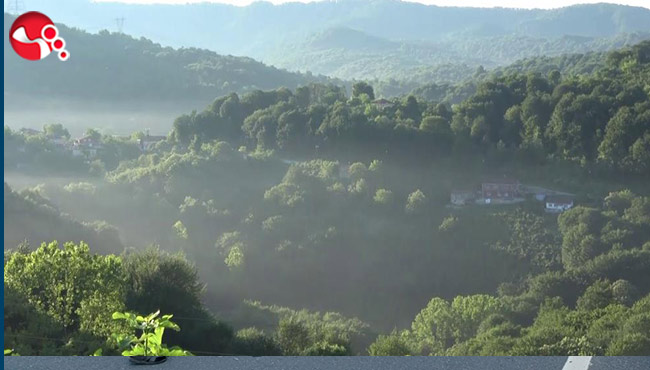 Bayram sabahı silahlar konuştu