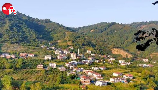 Hırsızlar evlere dadandı