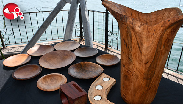 “Ağacın Büyüsü”ne hayran kaldılar