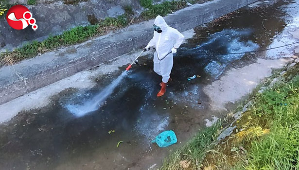 Sivrisineklerle mücadele…