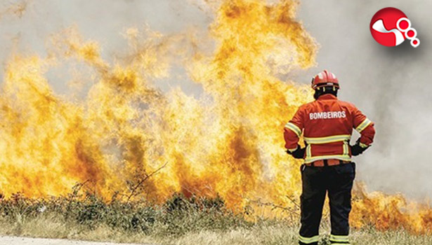 Orman Yangınları tedbirler arttırıldı!!!