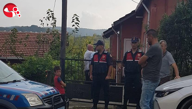 Ağaçtan düşerek hayatını kaybetti