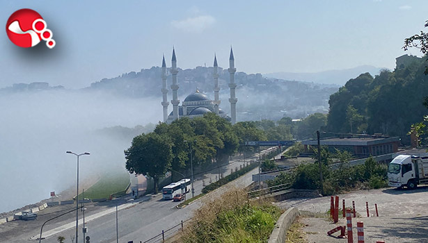 Görenler hayran kalıyor