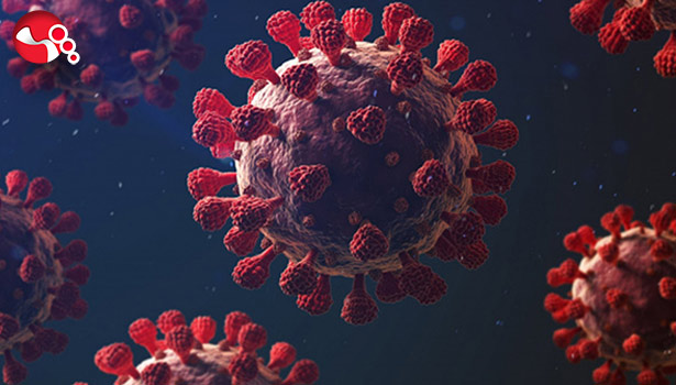 UZMANINDAN ERİS VARYANTI UYARISI : Eylülde artabilir!..