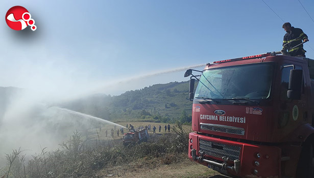 Kısa sürede büyüdü