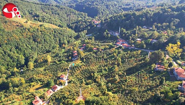 Ormanlar yazın son günlerini yaşıyor