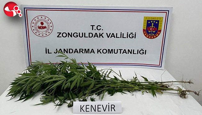 Kenevir ele geçirildi...