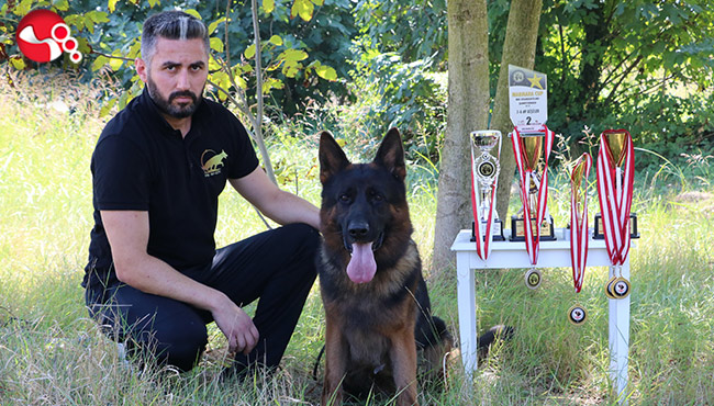 Hayatını köpeklere adadı: Hedef dünya şampiyonluğu