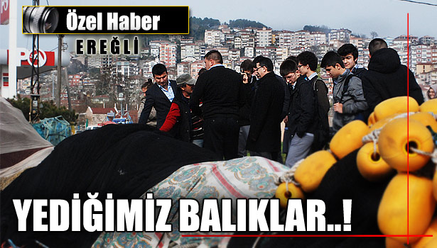 ONLAR SORDU BALIKÇILAR CEVAPLADI