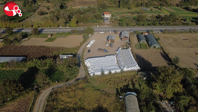 Atıl durumda arazilerini bakın nasıl değerlendirdiler?