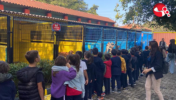 Minik öğrenciler sevimli dostları unutmadılar...