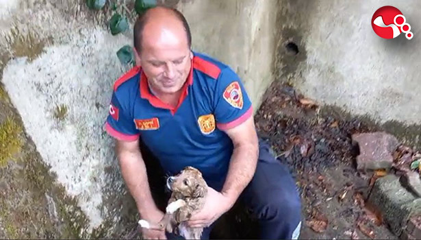 İtfaiye ekipleri kurtardı!...