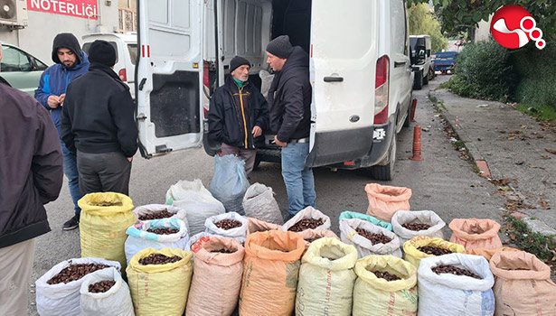 Bu da kestane borsası!...