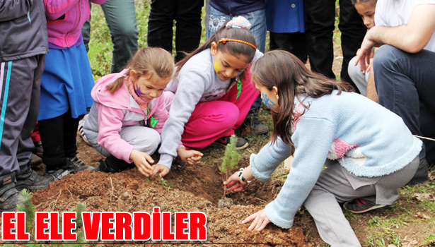 BİR DİKİLİ AĞACINIZ VAR MI?