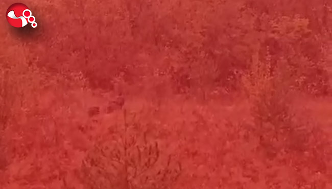 Fırtınadan böyle kaçtılar…