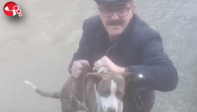 Dereye düşen köpeği muhtar kurtardı