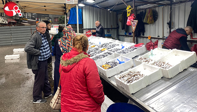 Yerli hamsiye yoğun ilgi