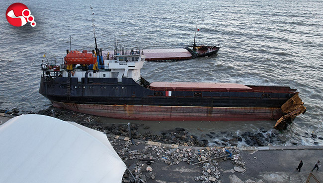 Fırtınadan kurtuldu, kalbine yenik düştü!