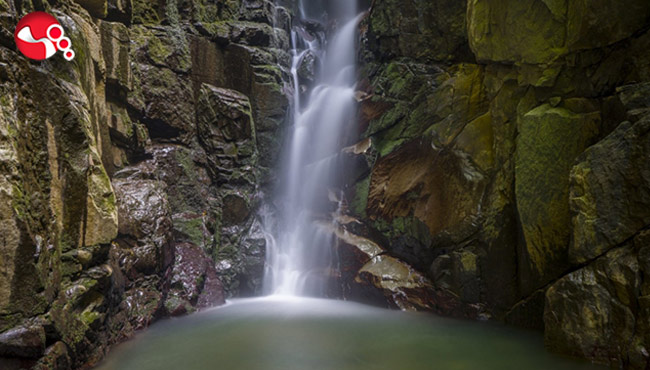 Kayalıdere'de Orman Parkı...