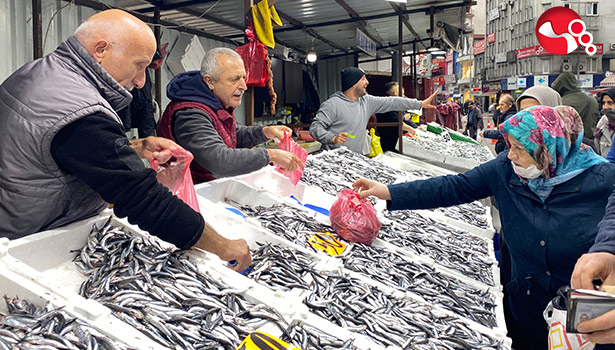 Hamside fiyat düştü, ilgi arttı