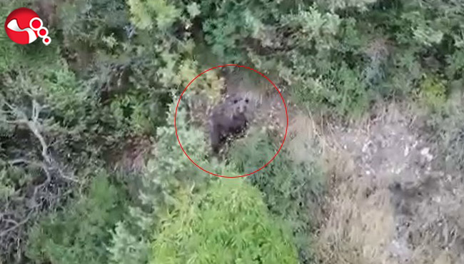 Bu kez havadan görüntülendi