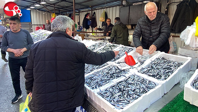 Balık fiyatları düşüşe geçti…
