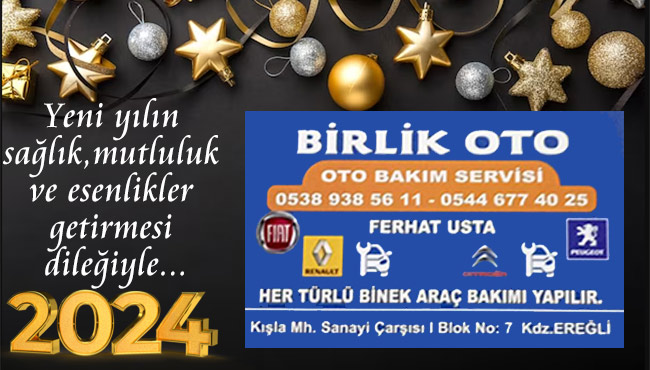 Yeni yılın sağlık, mutluluk ve esenlikler getirmesi dileğiyle...