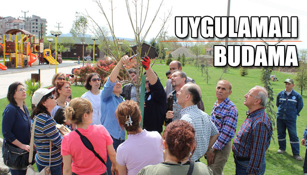 UYGULAMALI BAHÇIVANLIK KURSU