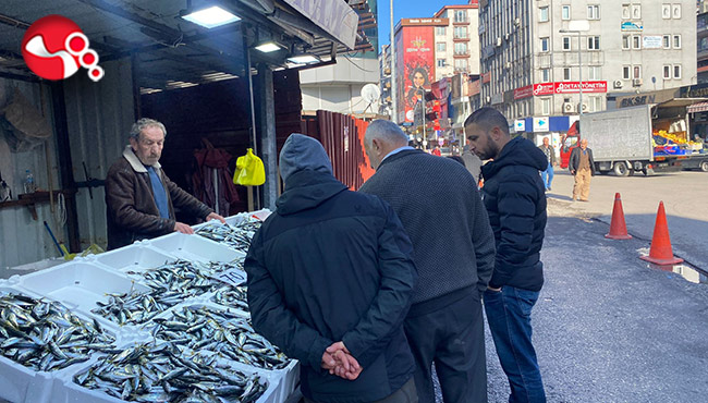 İstavrit bolluğu yaşanıyor