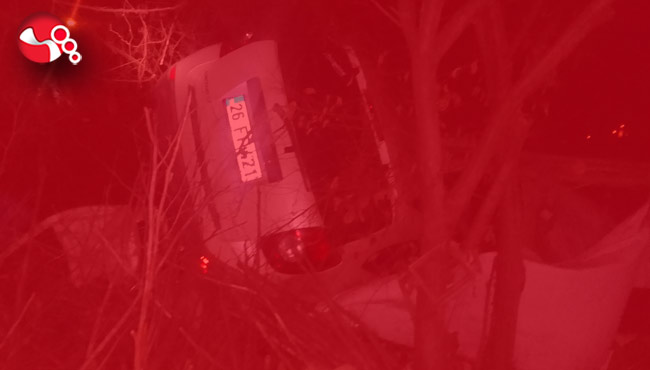 Ağaçlık alana uçtu